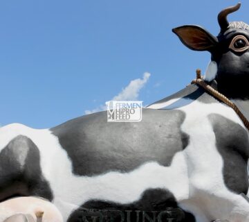 Jual Pakan Fermentasi di Boyolali, Jawa Tengah