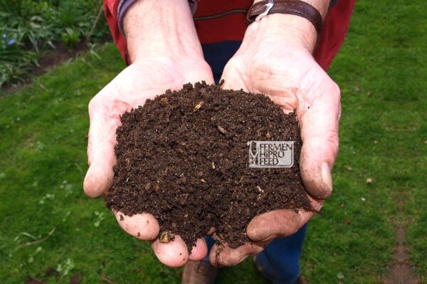 mengolah kotoran ternak menjadi biogas