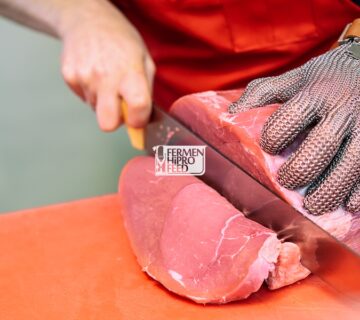 Karakteristik Sapi Simental dan Pakan yang Tepat