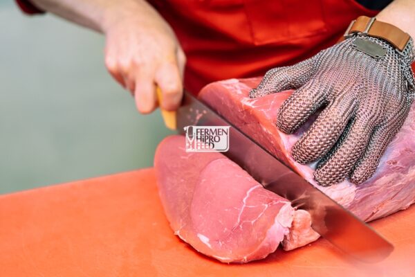 Karakteristik Sapi Simental dan Pakan yang Tepat