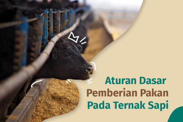 aturan dasar-01 Aturan Pemberian pakan